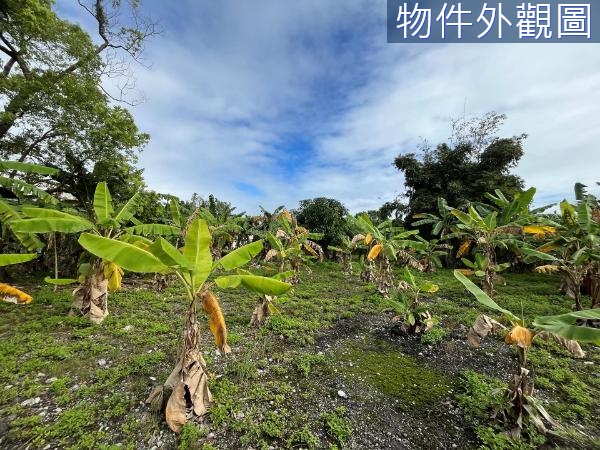 花蓮吉安建國北安街口臨路農地 竹北商辦店面