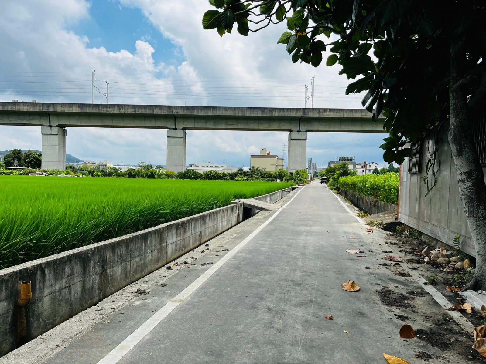 新埔近枋寮國小義民田