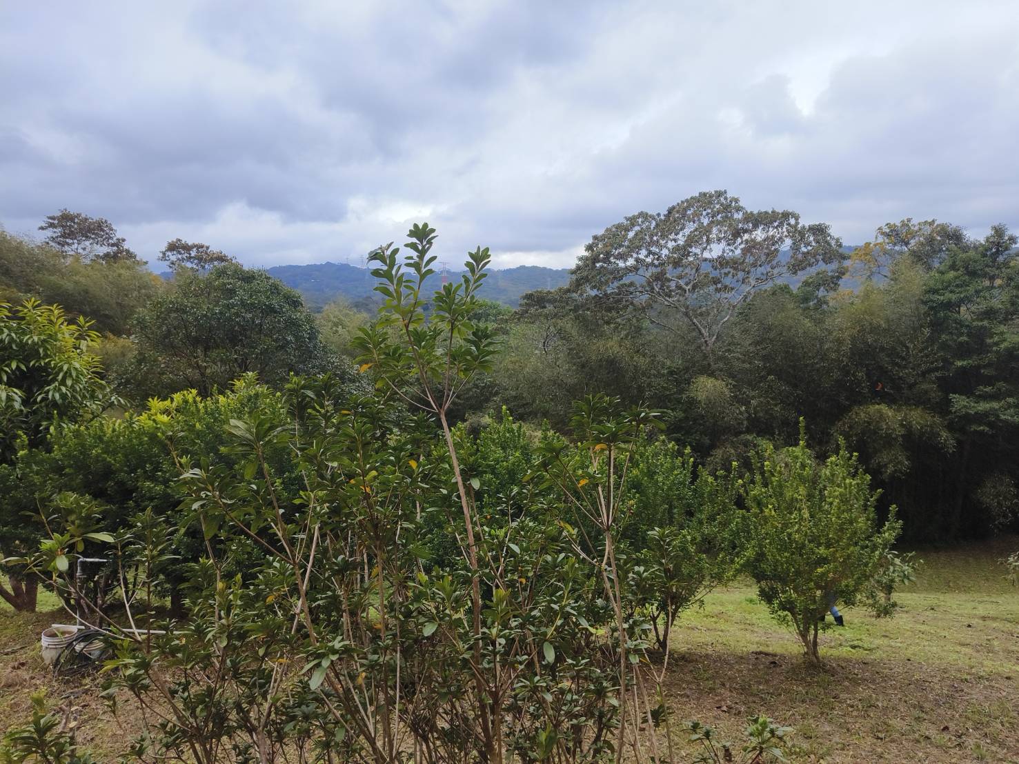 關西新城視野美地