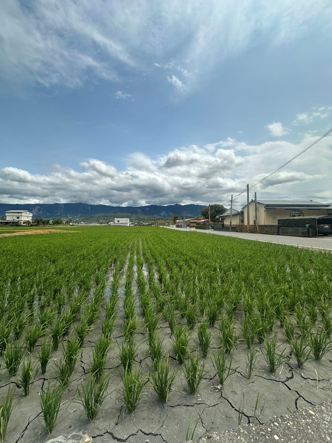 台東關山後火車站正三角窗綠油油農地
