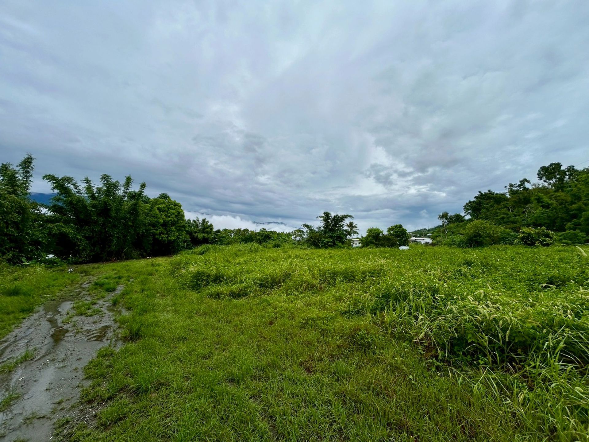台東池上大坡池旁景觀農地+丙建地 台南買屋專家
