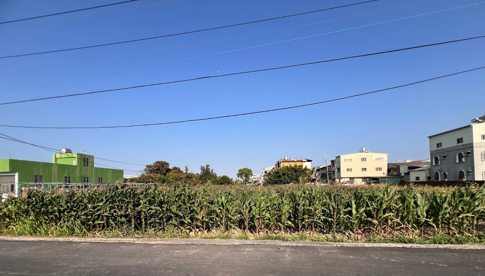 台南安定新吉480超值農地