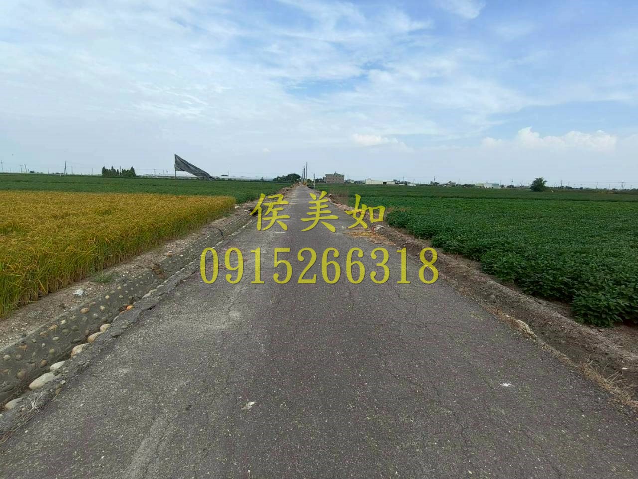 鹿草農地嘉義不動產買賣-台慶侯美如