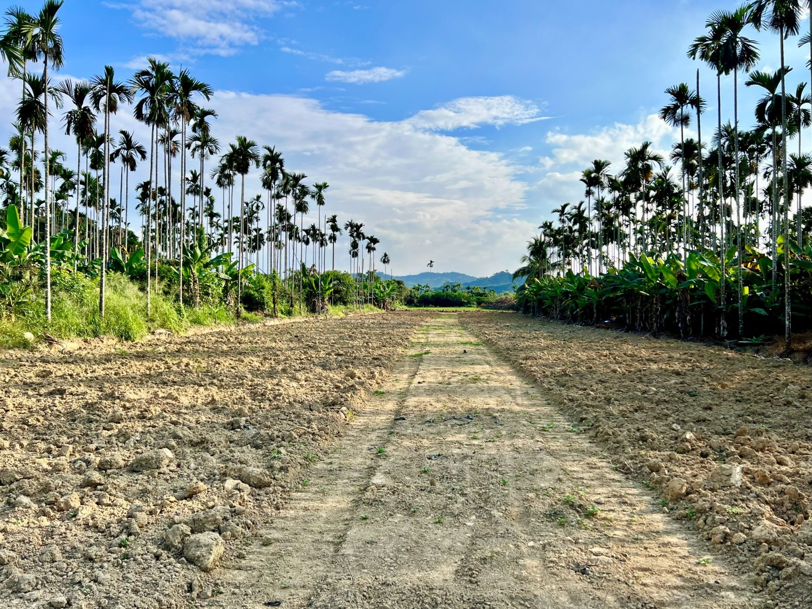 中寮國中都計內農建地4.5分