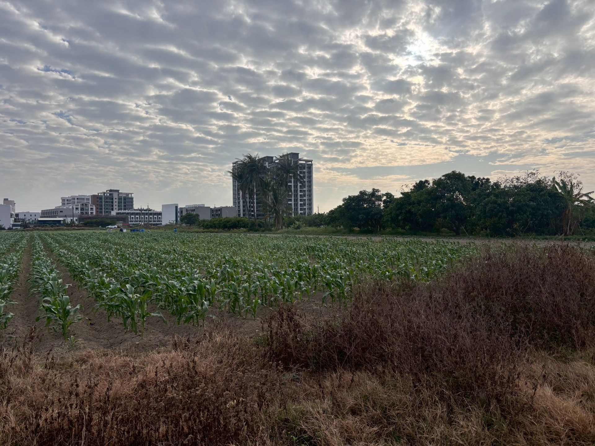(專)安南區總頭寮工業區旁都計內方正農地 台南買屋專家