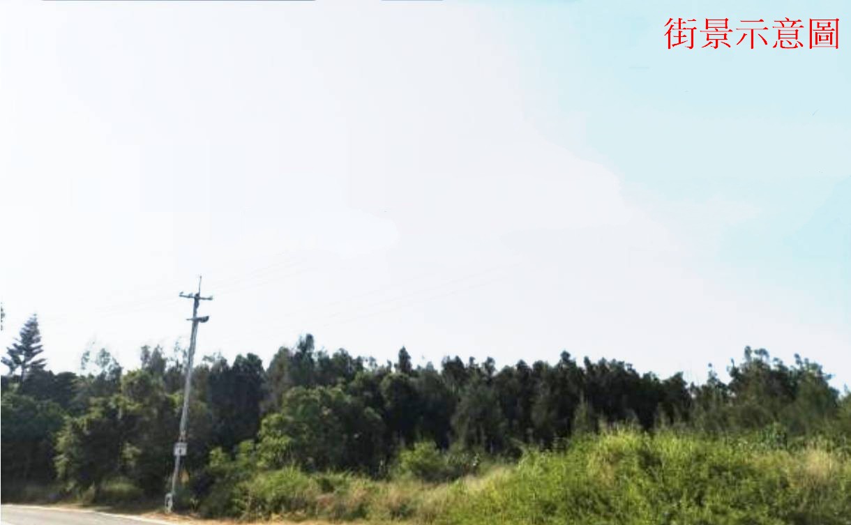 金門近民俗文化村都計內2萬多坪大農地