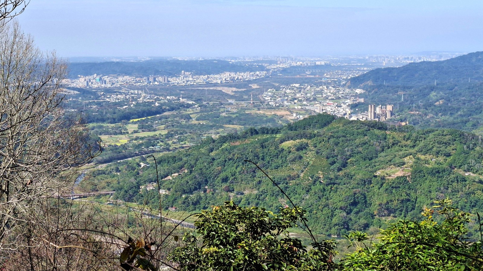 新竹縣橫山油羅杉木林園超美景觀地