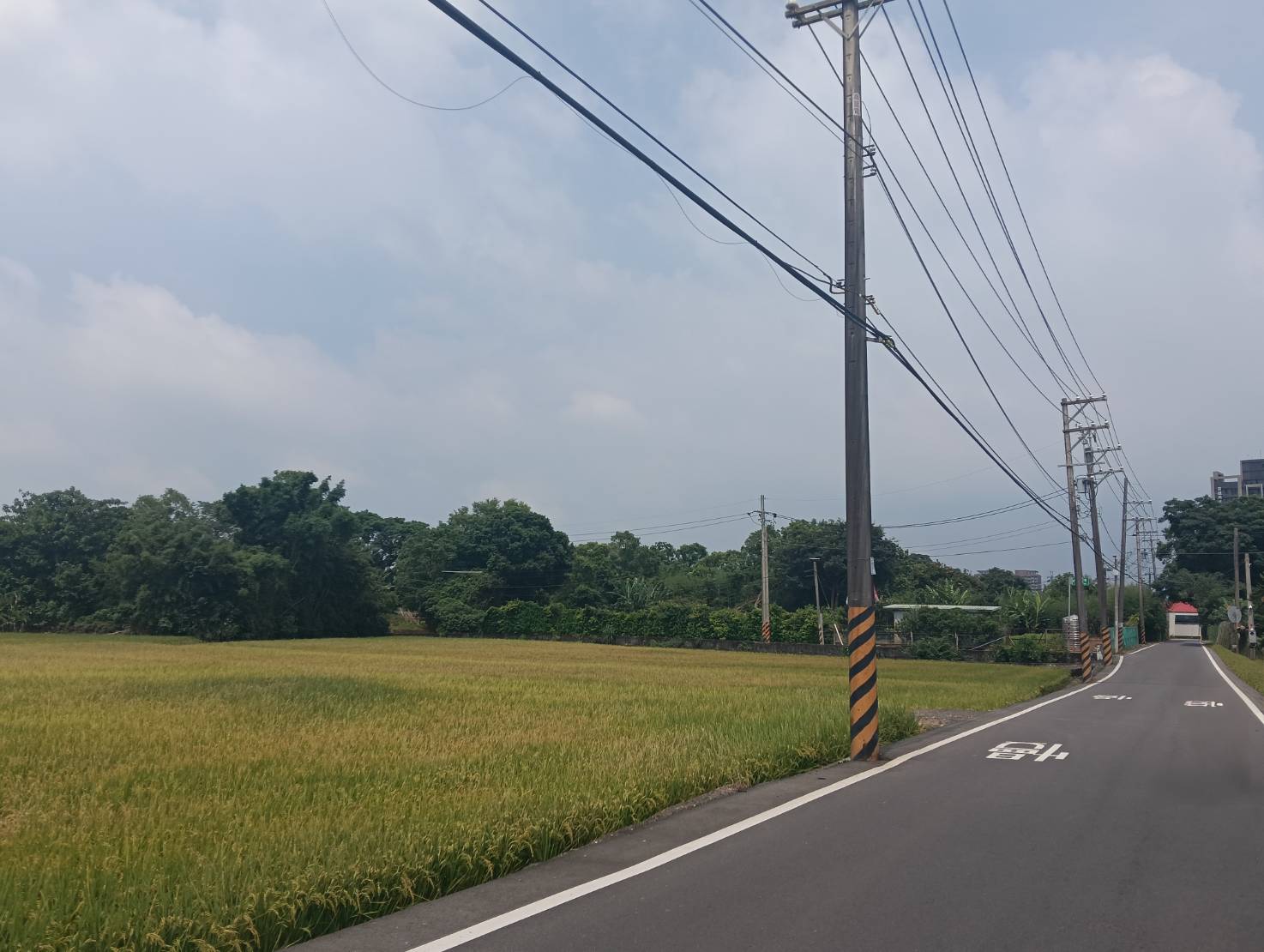 龍潭大坪數平坦農地