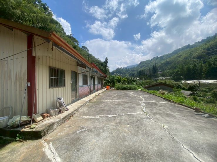 鹿谷鳳凰谷鳥園農+建地300坪