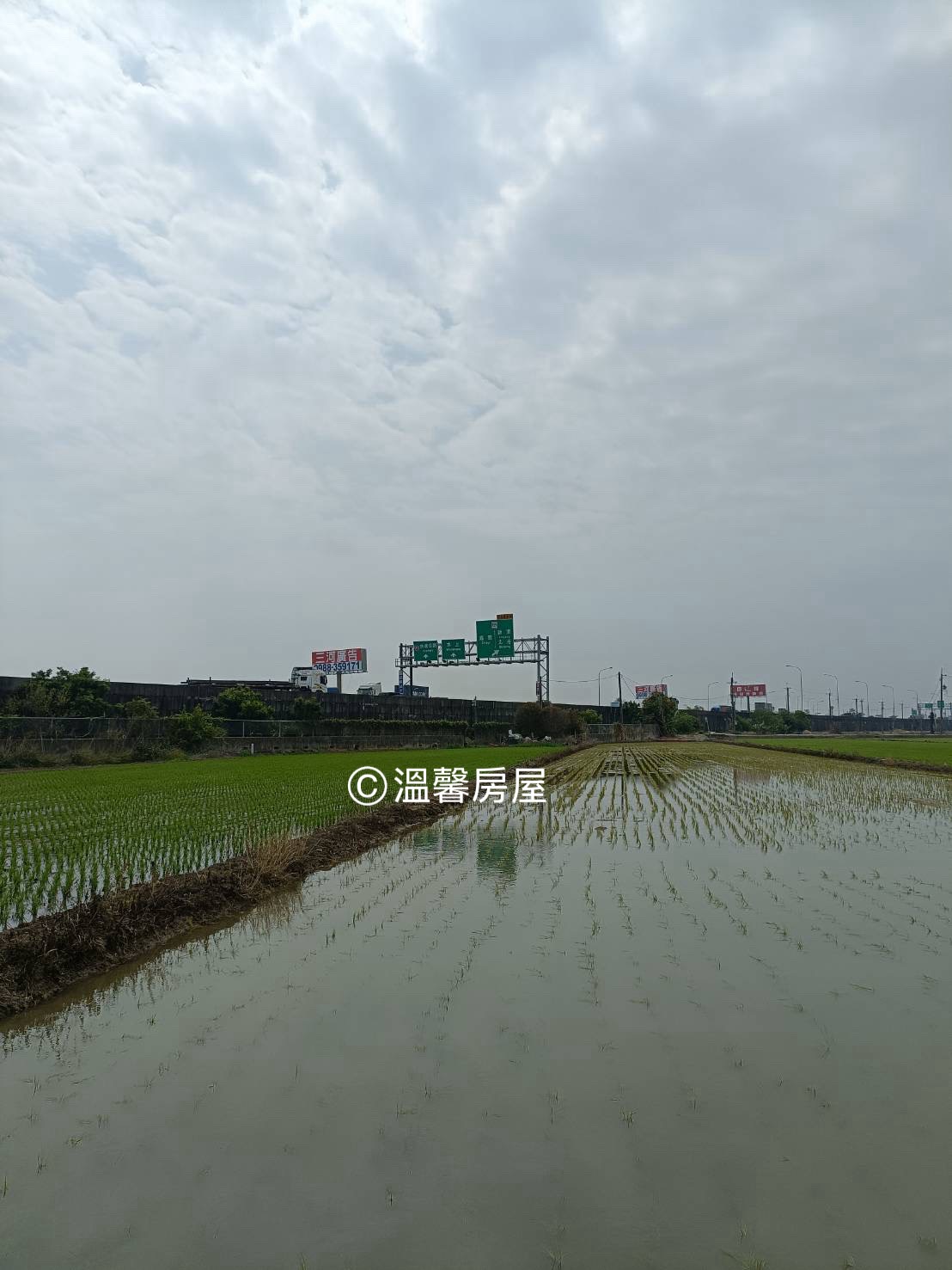 太保高速公路旁｜廣告收益型農地 ｜大型T霸廣告看板首選地