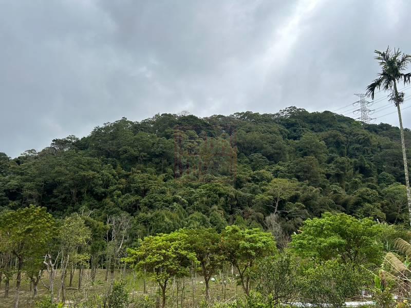 新竹縣芎林鄉鹿寮坑大坪數林地 春明地產