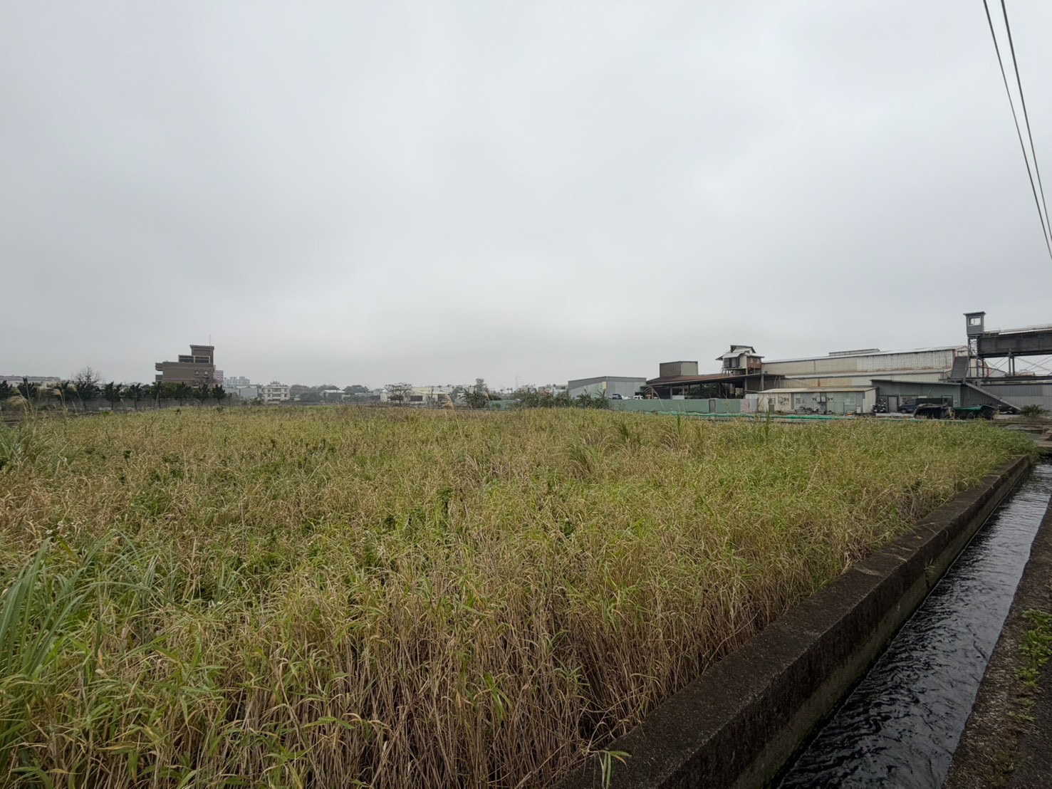 ❤️☞蘆竹方正一般農美農地☜❤️