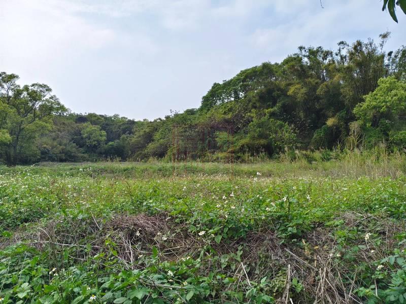 新竹市大湖一般農可申請特目農地(有合法農舍)