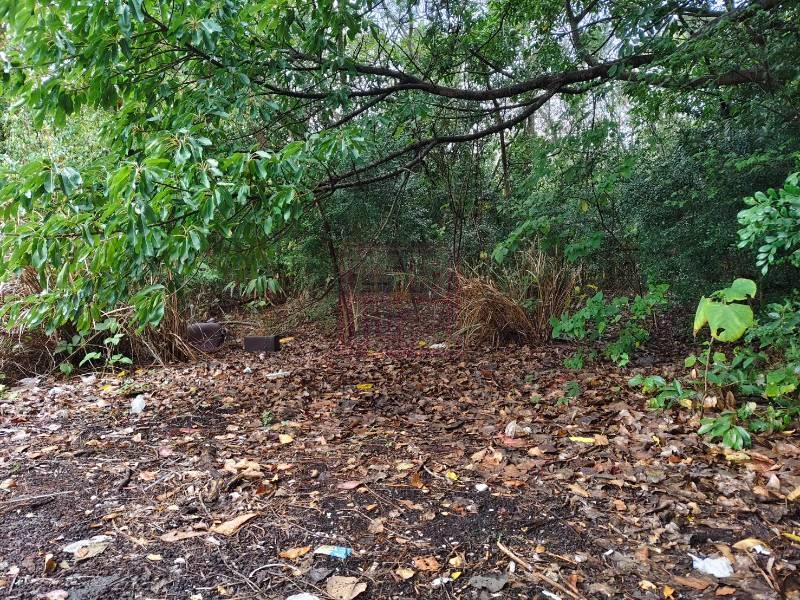 新竹市香山區大面積農地 春明地產