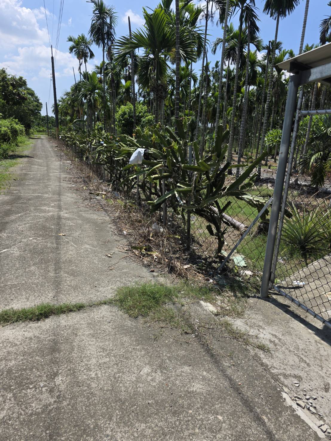 屏東萬巒鄉豬腳街光復路 農地(附合法農舍)
