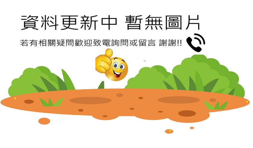 大寮近光明路方正大面寬農地已整地