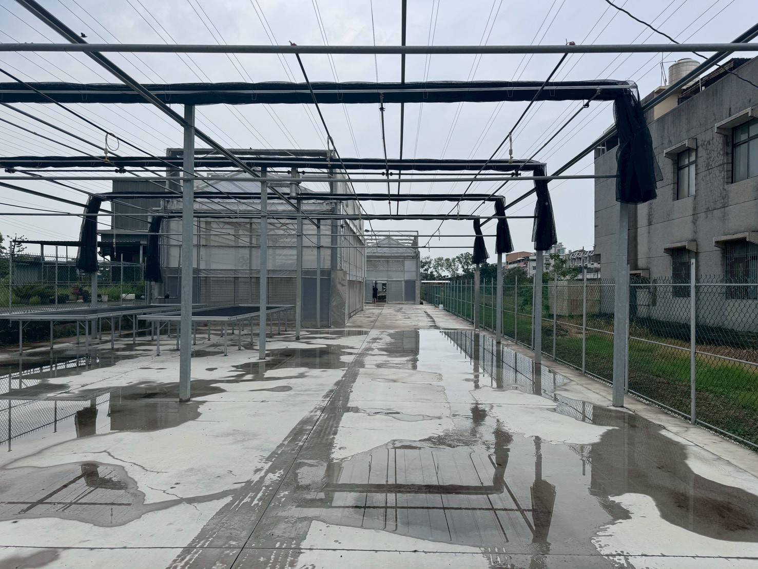 鐵馬道都市計劃農地