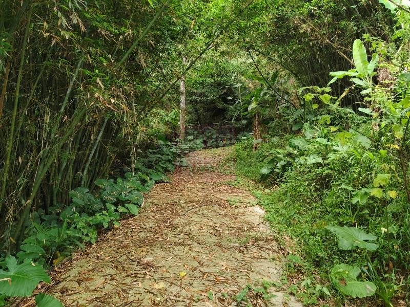 新竹縣關西鎮農舍用實惠農地 春明地產