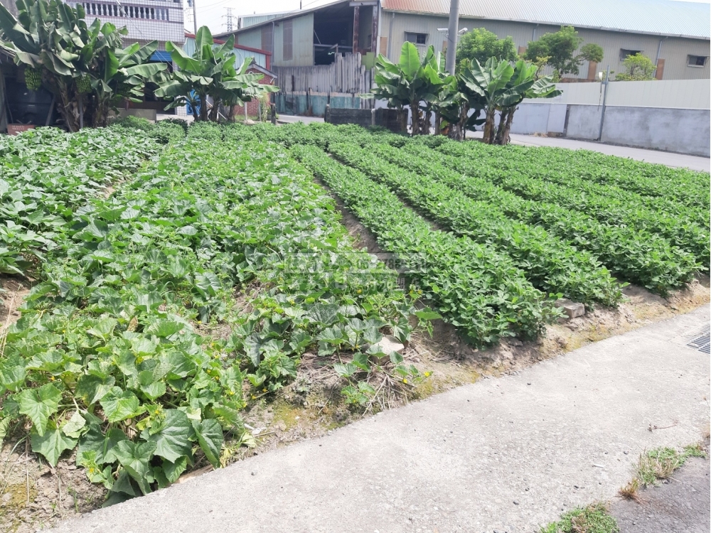 雲林建地-豐田工業區旁美建地F1218A