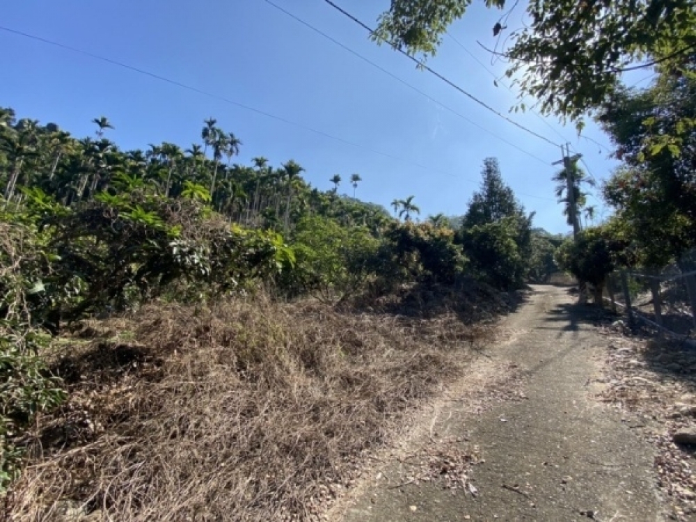 霧峰區農地+建地好規劃